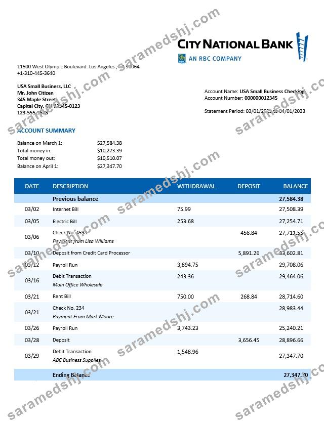 City National Bank organization statement Word and PDF template